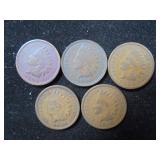 Lot of 5, Indian head pennies