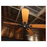 Ceiling fan