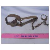Oneida Victor steel trap