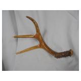 Deer Antler