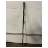 Wearlen Walking Stick