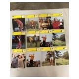 Golf Sportscaster Cards Lot of12