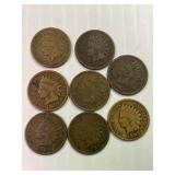 8 Indian Head Cents 1901-1908