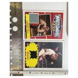 WWE 2012 Relic Cards Lot of 2