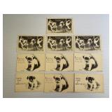 Lot of 10 Dog Postcards *1909*