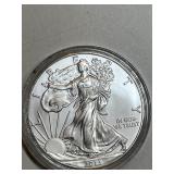 2013 American Silver Eagle