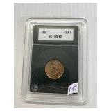 1862 Indian Head Penny Collection