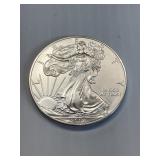 2012 American Eagle frosted