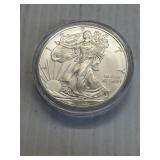2013 American Silver Eagle