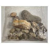 Bag Full of Fossils/Native American Rocks/Tools