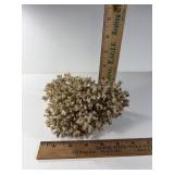 NATURAL CORAL PIECE