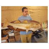Large mounted Bass 1979 -42' long great condition