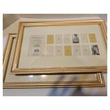 Collection frames 9' x 16'