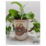 Enamelware pot w/ live plant Enamelware pot w/ live plant