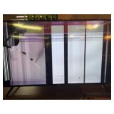 65" TCL TV - Crack in Screen