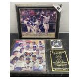 Chicago Cubs 2003 National League Champs