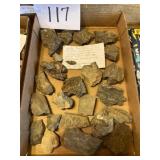 Old West Virginia, fossils