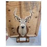8 Point Deer Mount