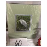 Wildlife print matted