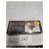 Security Light