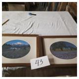 Picture lot Mount Rainier