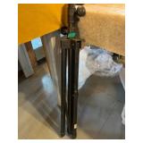 Proline Adjustable Tripod Stand