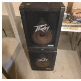 Peavey 110DL Speaker Monitors Pair