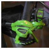 Greenworks Leaf Blower with Accessories
