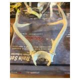 Deer Antlers