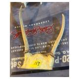 Deer Antlers