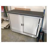Metal 2-door Cabinet