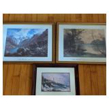 (3) Framed Nature Pictures