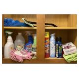 Cleaning Supplies Lot