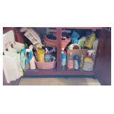 Under Kitchen Sink - Cleaning