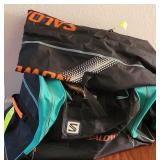 Traveling Ski Luggage - set of 2
