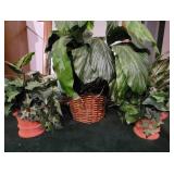 3pc Set of Faux Plants