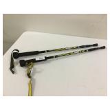 (2) Mountain Smith Trekker FX Walking Poles