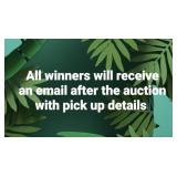 Winner Email