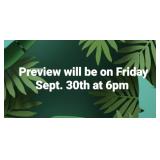 Preview Info
