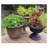 3pc. Various Flower Pots