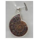 Natural Ammonite Fossil Pendant