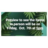 Preview Info