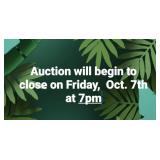 Auction Closing Info
