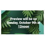 Preview Info