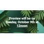 Preview Info