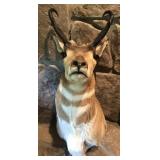 Vintage Pronghorn Antelope Taxidermy
