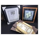 Collection of Brand New Frames