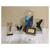 5 Piece Decorative Butterfly