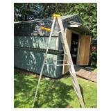 12 Davidson Foot Step Ladder