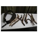 Antique Horse Hanes, Harness, and Shoe